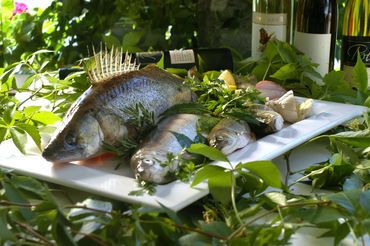 Frisch gefangener Fisch, © Stadler